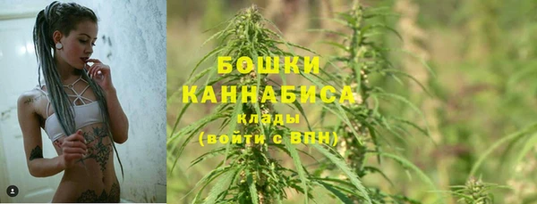 бошки Алексин