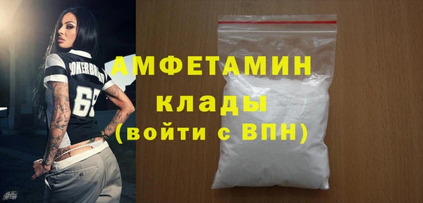 мдпв Каменка