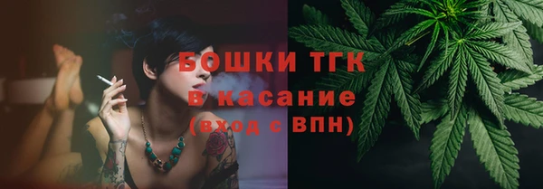 бошки Алексин