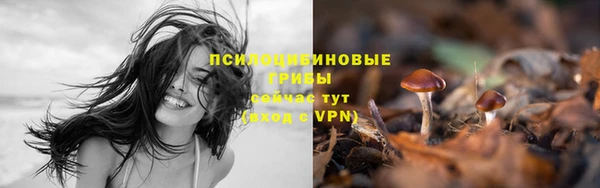 дмт Алексеевка