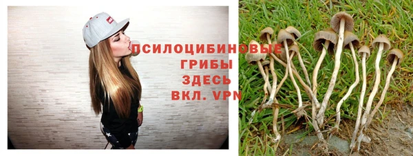 героин Алзамай