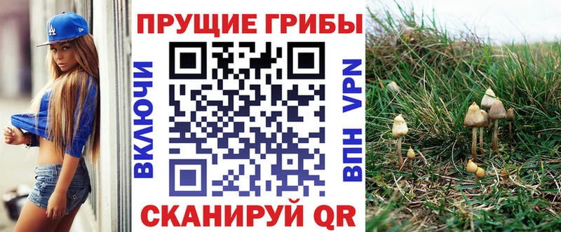 что такое   Котельники  hydra ССЫЛКА  Галлюциногенные грибы мухоморы 